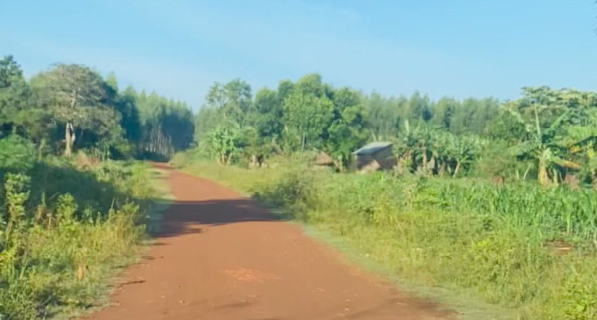 Village commute to work !